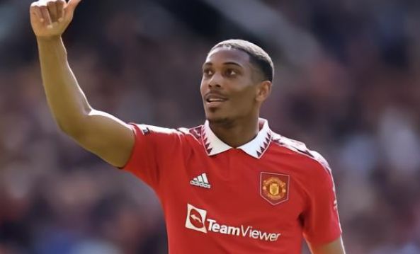 邵佳一的新 邵佳一的新